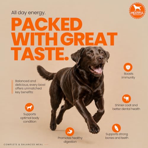 Image of Meatiful Adult Dry Dog Food 20kg | Chicken Flavour | Supports Strong Bones & Teeth | Boost Immune System | Healthy Skin & Coat