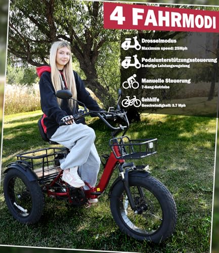 NOMOGO Elektro-Dreirad Für Erwachsene Aluminium Faltbares E-Bike,48V 15.6Ah Akku,7 Gang Elektrofahrrad 25 km/h und 90–110km Reichweite 20”x4” Fat TiresVorder&Differenzial – Bild 6
