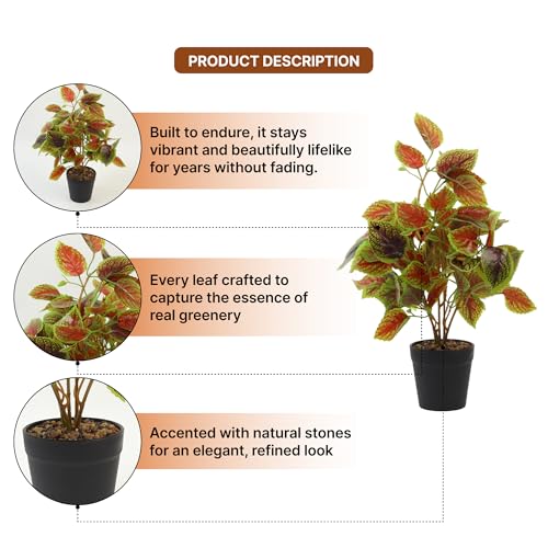 Image of Habere India-All the Cultures Fabricating India Artificial Plant with Pot for Home Decor | Fake Plants for Living Room Decoration | Artificial Plants for Decoration (Design 01; L21 x W21 X H39 cm)