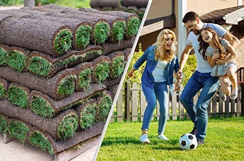 Rollrasen 10m echter Fertigrasen - Sorte: Premium Sport- und Spielrasen - Vorgedüngt - Frisch geschält - Gekühlt Geliefert (10 bis 500 qm verfügbar)
