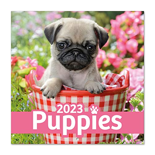 Grupo Erik Dogs Simon K. & Greg C. Wall Calendar 2023 12' x 12' FSC, 30 x 30 cm
