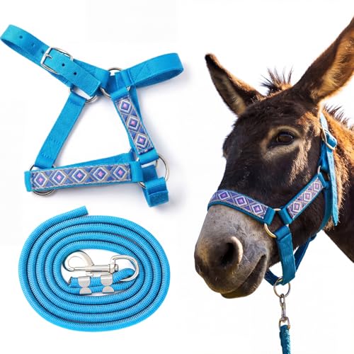 Cabestro de burro miniatura con ramal para un guiado seguro sin tirones 2