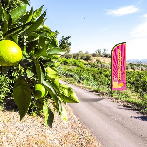 Image of Remagr 2 Pack Lemonade Feather Flag 7 ft Advertising Swooper Flag Sign Windless Lemonade Banner with Pole Kit and Ground Stake for Businesses Restaurants Outside Ground(Rose Pink)