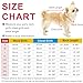Idepet Haustier Katze Hundemantel, warme Hundepullover Winter klein mittel groß Hundejacken Weste Winddicht Schneeanzug Hundekleidung Outfit mit Gurtloch