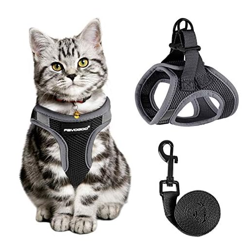Cat Harness and Leash for Walking Escape Proof, Adjustable Cat Leash and Harness Set, Lifetime Replacement, Lightweight Kitten Harness, Easy Control Breathable Step-in Cat Vest with Reflective Strip