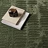 Amazon.com: Revival Rugs Shell 6'7