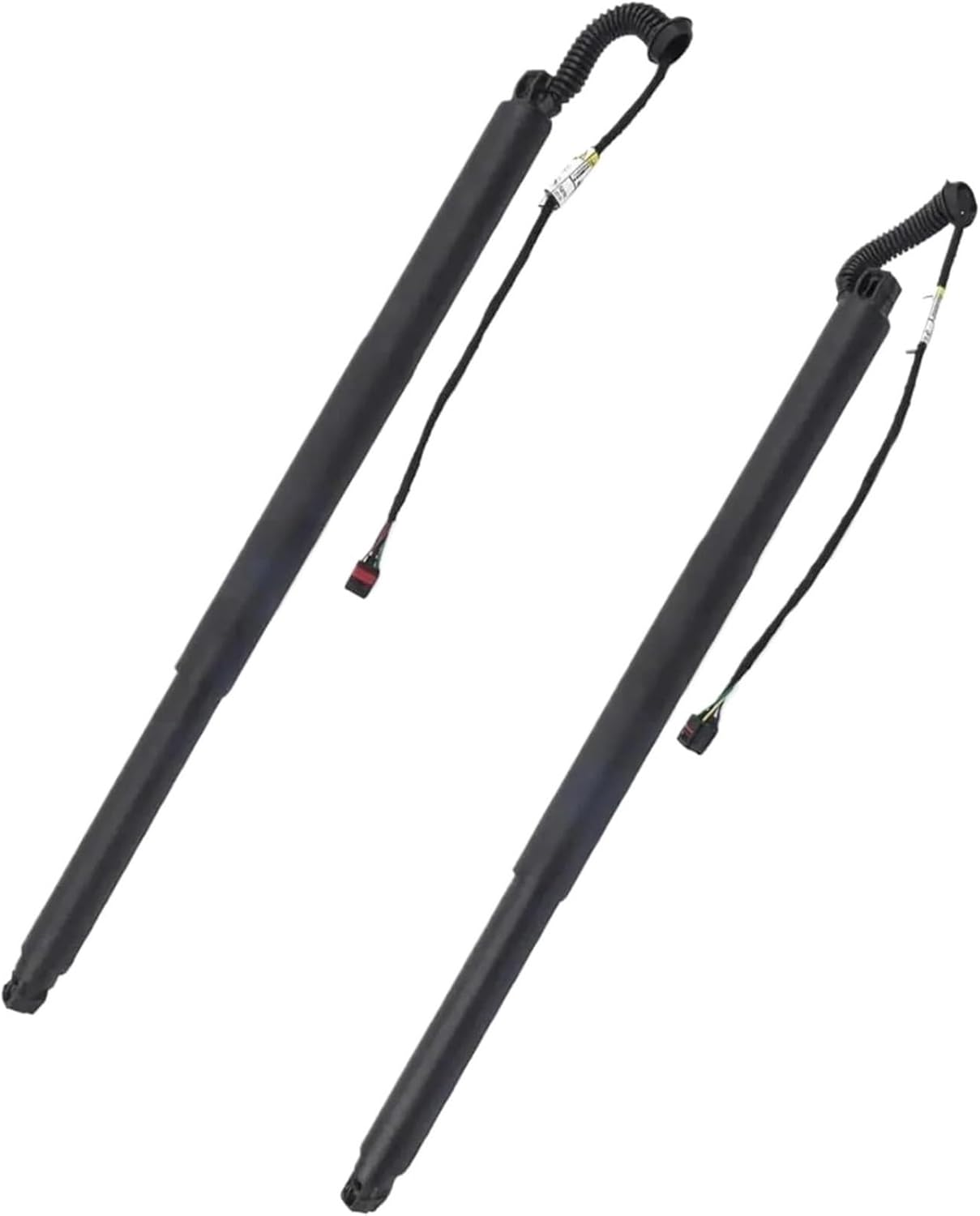 チューリップ/TULIP THE FILMS～LIVE ACT TULIP TULIP | LIVE!! ACT