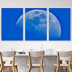 signwin 3 Piece Framed Canvas Wall Art Lunar...