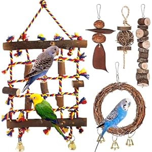 Vogelspielzeug, Papageienspielzeug, Vogel Seil Kletternetz mit 4 Papagei Kauspielzeug, Kletterspielzeug für Vögel, Sitzstangen für Vögel, Vogelkäfig Zubehör für Finken Wellensittich Liebesvögel