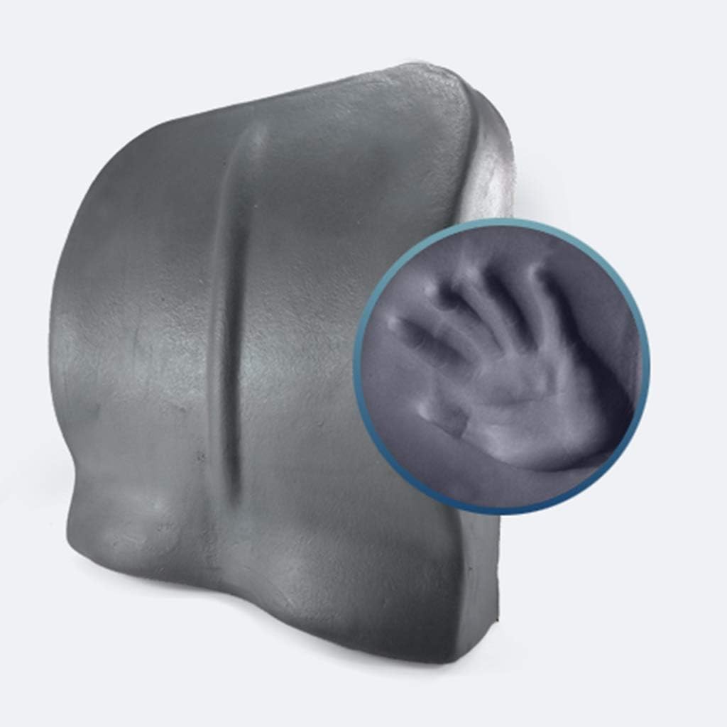 Lumbar Pillow - Ventilated Charcoal Infused Memory Foam Lumbar Pillow for Home/Office Chairs Driver Car Seat Back Support(Blue)