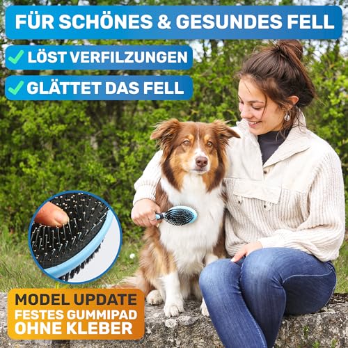 BluePet 2in1 Hundebürste für Langhaar & Kurzhaar Auch für Welpen & Katzen I Glätten, Entwirren, Ausbürsten I Das Allround-Talent Borstenbürste (Blau, M-L)
