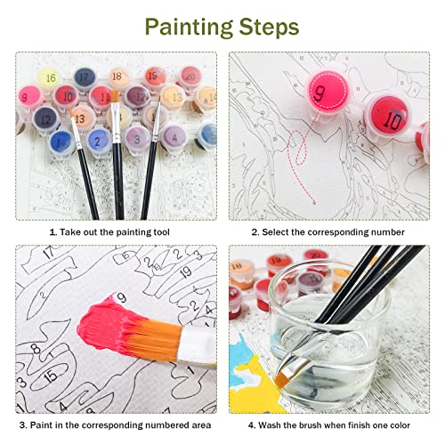 Bougimal Dipingere con i Numeri per Adulti