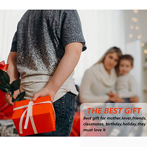 10 pcs Spille da Donna,SHONCO Spille di Sicurezza