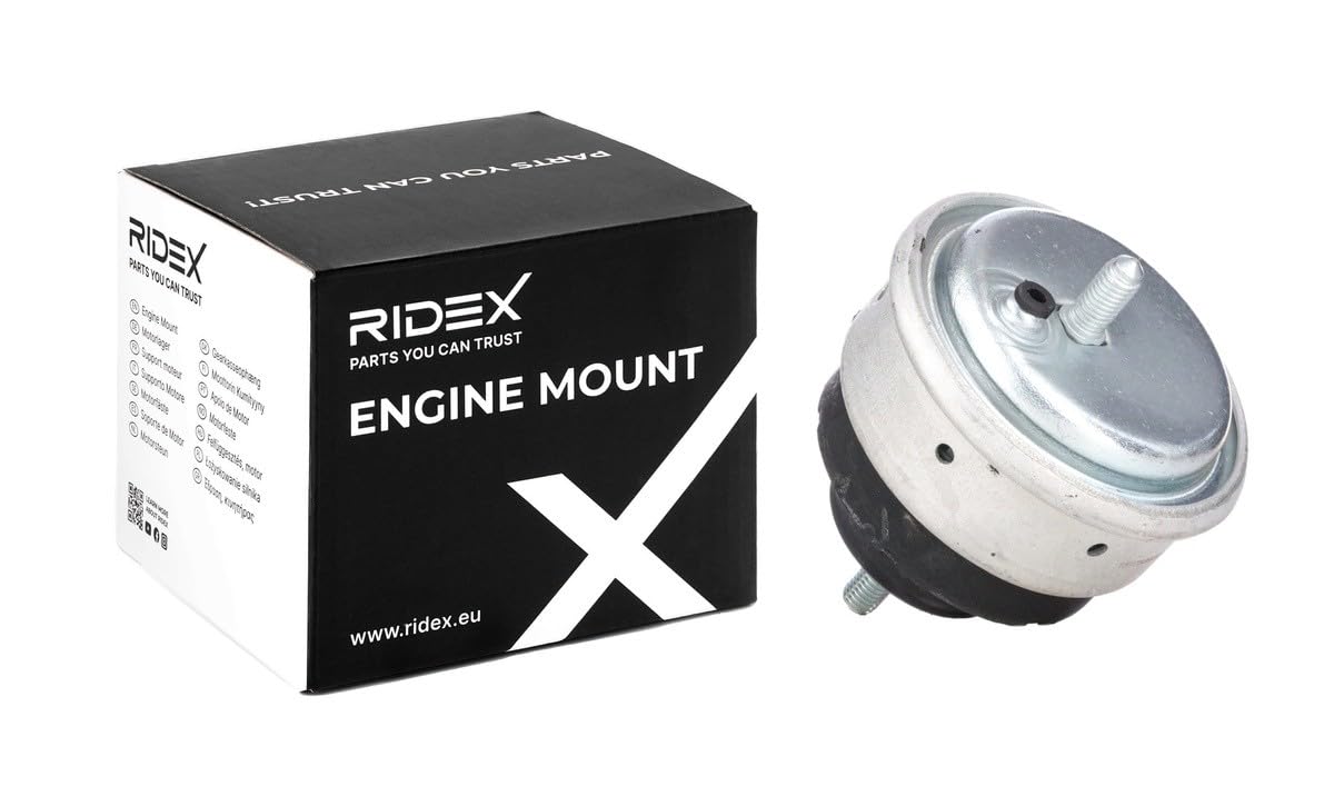 RIDEX 247E0058 Support moteur Avant Gauche Avant Droite Compatible avec BMW 3 Berline E46