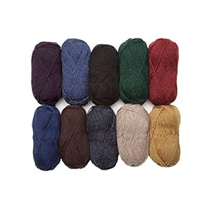 Knit Picks Wool of The Andes 100% Wool Worsted Weight Yarn Pack (10 Balls – Home Décor)