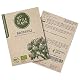 Brokkoli-Samen Little Plants BIO, 25 Stück, für Gemüsegarten