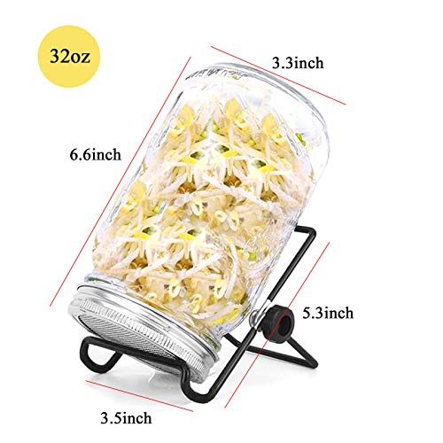 DOUBLE 2 C Mason Jar Sprouting Kit, Seeds Germination Growing Kit Set to Grow Your Own Broccoli Alfalfa Beans Microgreens Sprouts (2Pack)