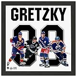  Highland Mint Wayne Gretzky Edmonton Oilers Impact Impact Jersey Frame