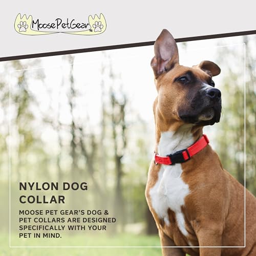 Image of Dog Collar - Colored Adjustable Pet Collars, 3 /4 Inch Wide, Medium, Hot Orange