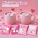 4E's Novelty Heart Marshmallows (24 Packs) Pink & White Valentine Marshmallows Mini Individually Wrapped for Hot Chocolate, Valentines Candy Bulk for Kids Classroom Exchange Party Favors