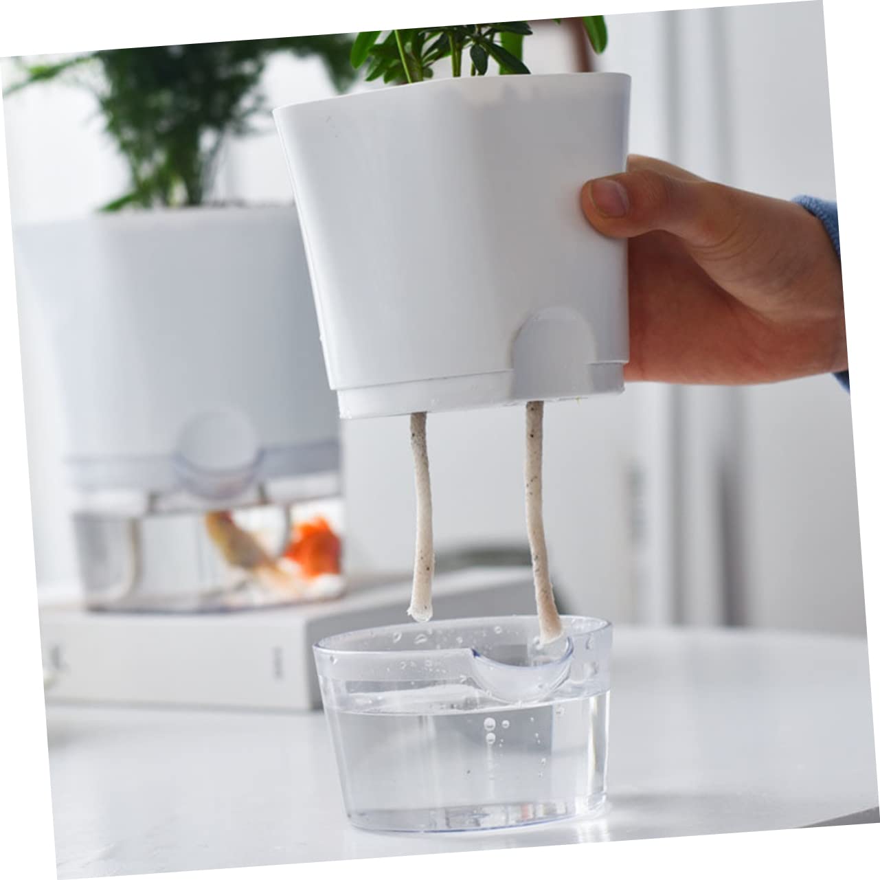 2 Vasi Autoirriganti Per Piante Da Di Irrigazione Automatico Per Fiori Vaso Di Plastica Di Irrigazione Decorativo Viola