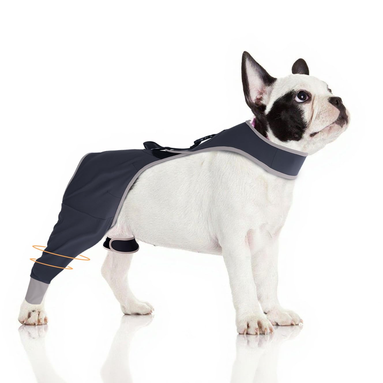 Manchon de jambe pour chien pour arrêter de lécher : protège-patte doux pour petit chien