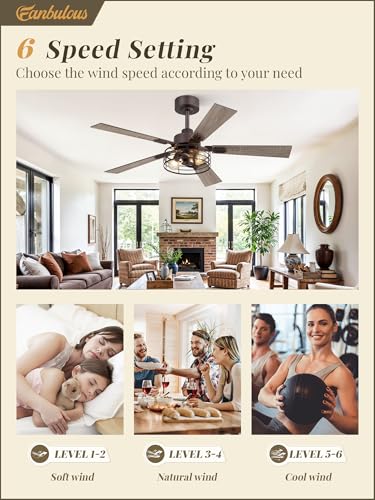 Image of Fanbulous 48 Inch Farmhouse Rustic Ceiling Fan with Light & Remote