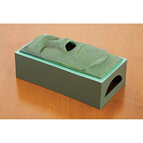 Bits and Pieces Stone Face Tissue Holder