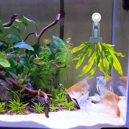 Pinza para alimentar peces para evitar desperdicio de algas 6