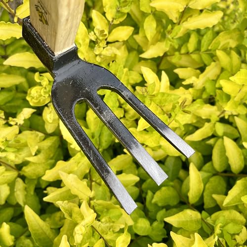 Azada manual de jardín de 14 pulgadas alanx con mango de roble miniatura 4