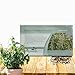 Outsidepride Eucalyptus Lemon Bush - 25 Seeds