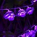 Avanti 20 Led Battery Operated String Romantic Rose Flower Fairy Light Lamp Outdoor for Valentine's Day, Wedding, Room, Garden, Christmas, Patio, Festival Party Decor (Purple)