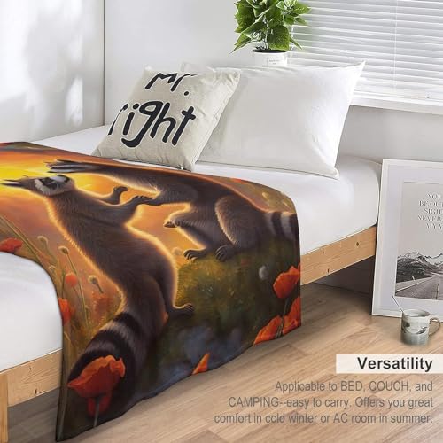 Couverture de canapé Raton Laveur en flannel pour soirée cocooning