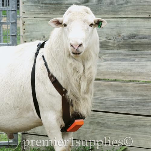 Vista 15 de Premier 1 EZ-Mark - Crayones para arnés de marcado de ovejas y cabras (amarillo crayón)