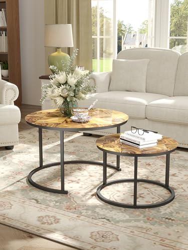 Ginhow Mesa de Centro Salon Redonda Cristal, Mesa Auxiliar Salon, Coffee Table de Grano de Madera empalmada 2 Juegos - imagen 2