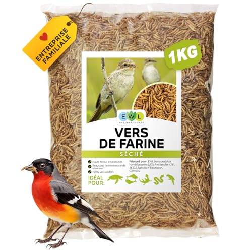 Ewl Naturprodukte vers de Farine séchés, 1 kg (6500ml), friandises pour Oiseaux, Poissons, Tortues, rongeurs et Reptiles