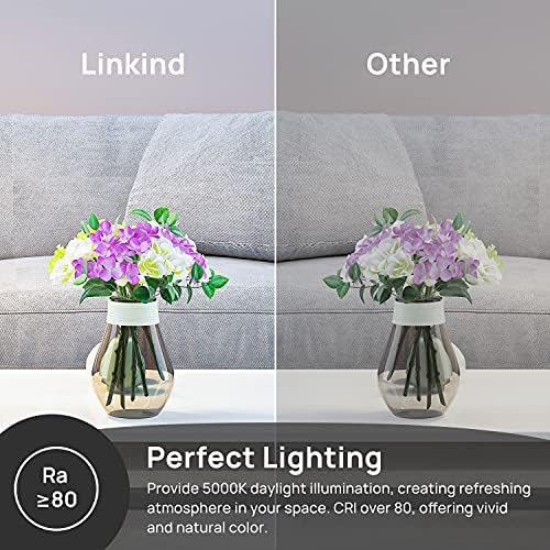 Linkind E14 LED Candle Bulbs, 40W Bulb Equivalent, 4.9W Small Edison Screw Candle Lights, Daylight 5000K, 500lm SES Bulbs, Energy-Saving, Non-Dimmable, 6 Pack