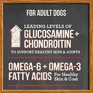 Merrick-Healthy-Grains-Premium-Adult-Dry-Dog-Food-Wholesome-And-Natural-Kibble-With-Beef-And-Brown-Rice-250-lb-Bag - Cucciolini Doodles Merrick-Healthy-Grains-Premium-Adult-Dry-Dog-Food-Wholesome-And-Natural-Kibble-With-Beef-And-Brown-Rice-250-lb-Bag