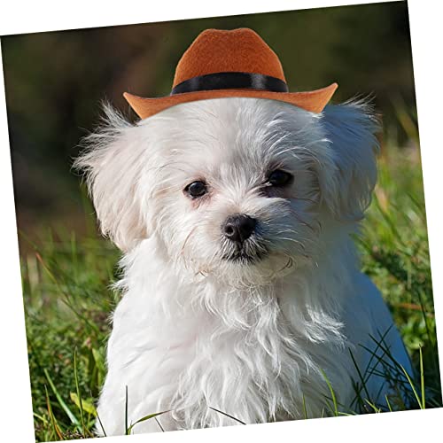 POPETPOP 4 Pçs Chapéu De Cowboy Para Animais De Estimação Chapéu De Cowboy Jeans Chapéu De Palha De