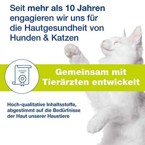 Douxo S3 SEB Mousse, solução para caspa de cães e gatos, mousse calmante para gatos sem enxágue, mou