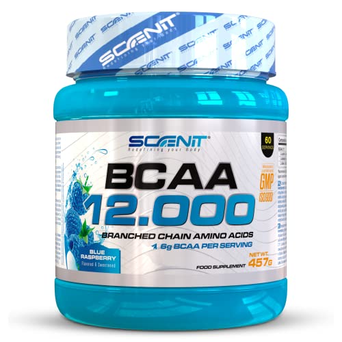 BCAA 12.000-457 g - BCAA, BCAA polvo - Aminoacidos BCAA - Aminoacidos ramificados BCAA - Aminoácidos BCAA, BCAA 2 1 1 - Aminoácidos ramificados en polvo - Leucina isoleucina valina (Blue raspberry)