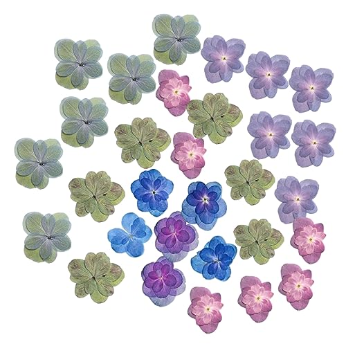 SOLUSTRE 30 flores prensadas secas para manualidades miniatura 1