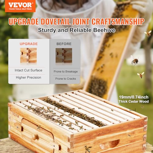 Vevor 10 FRAMES100% Frame Medium Super Bee Hive Box thumb #1