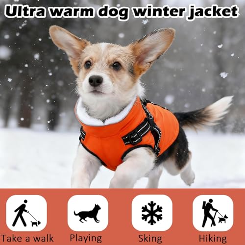 Hundemantel Winter mit Geschirr Einstellbar, ZoneYan Wasserdicht & Warm Hundemantel für Kleine Hunde, Reflektierende Winterjacke, Winddicht Weste für Hund (Orange, XS)