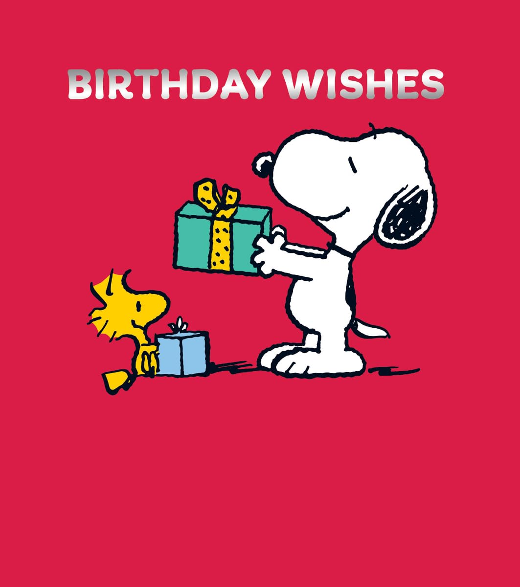 PEANUTS BIRTHDAY CARD, BIRTHDAY WISHES PEANUTS CARD, SNOOPY