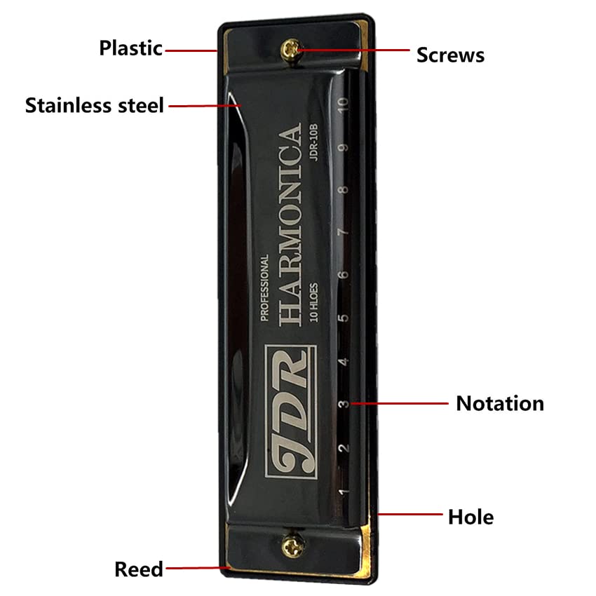 Harmonica Orgue à 10 orifices avec boîtier harpe Tuner C Tone Blues clue Jazz harmonica Kids - Les Beatles, Paul McCartney, John Lennon, RIngo Starr, George Harrison Harmonica Orgue à 10 orifices avec boîtier harpe Tuner C Tone Blues clue Jazz harmonica Kids – Image 5