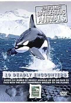 その他 World&#39;s Most: Amazing Animal Rescues [DVD] 中古】World's Most: Amazing Animal Rescues [DVD]