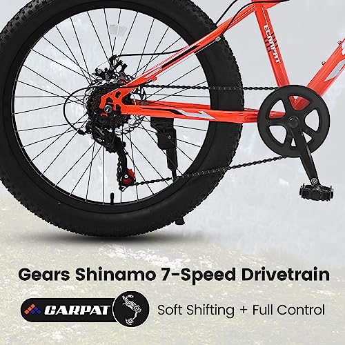 24 Inch Fat Tire Mountain Bike, 7 Speed Adult Mountain