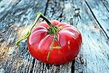 Tomate de campo'Malinowy Warszawski' - semilla