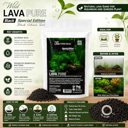 Image of VAYINATO Aquatic Remedies Wild Lava Pure Black (1Kg) | Special Edition Black Volcano Gravel for Planted Aquarium, Aquascaping & Garden Plants | Natural Porous Lava Substrate for Fish & Shrimp Tanks